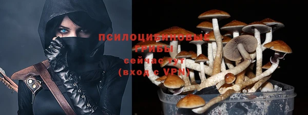 прущие грибы Нея