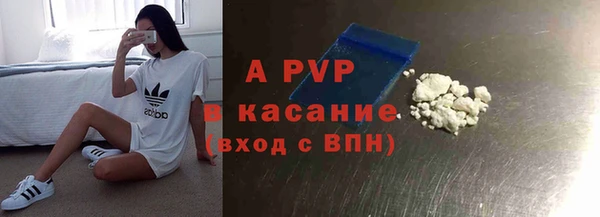 прущие грибы Нея