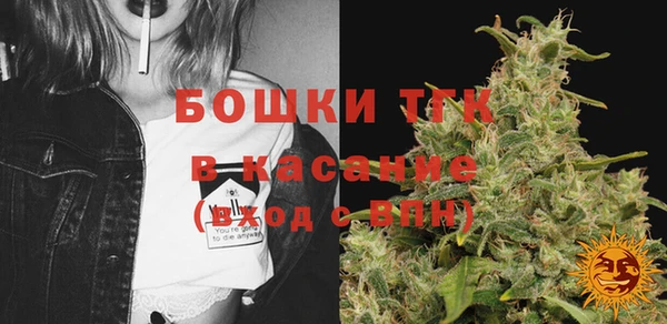 прущие грибы Нея