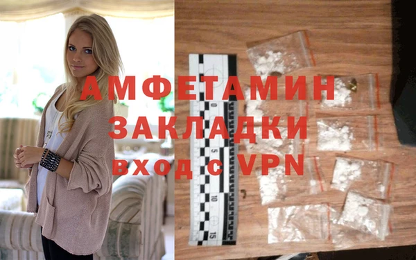 прущие грибы Нея