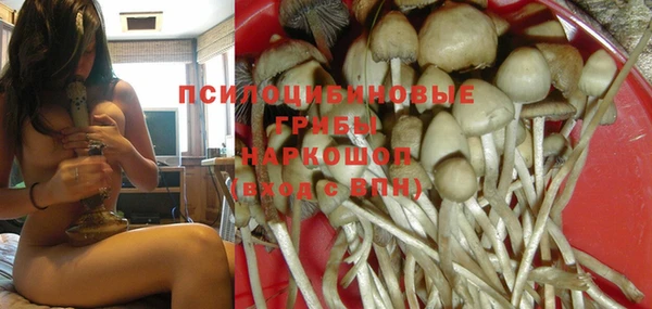 мяу мяу мука Нефтекумск