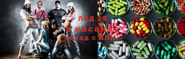 прущие грибы Нея