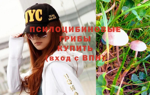 винт Нефтегорск