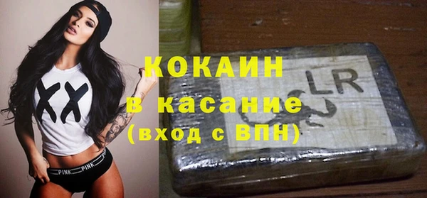 прущие грибы Нея