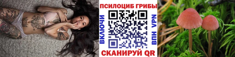 Галлюциногенные грибы Psilocybe  Струнино 